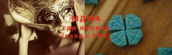 индика Гатчина