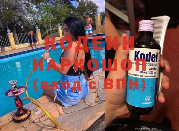 индика Пестово