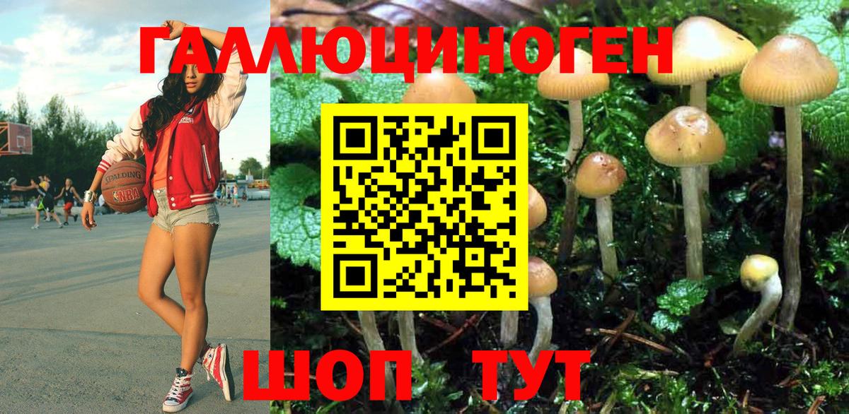 Галлюциногенные грибы Psilocybine cubensis Алушта
