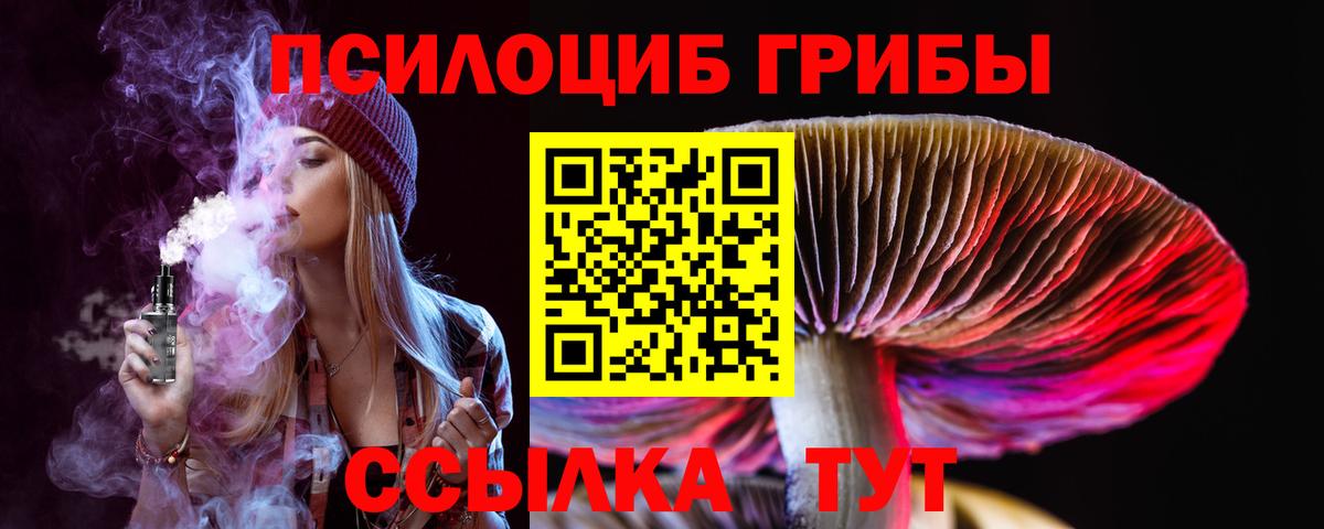 Алушта  Псилоцибиновые грибы мицелий  Галлюциногенные грибы Magic Shrooms  Вход с VPN 