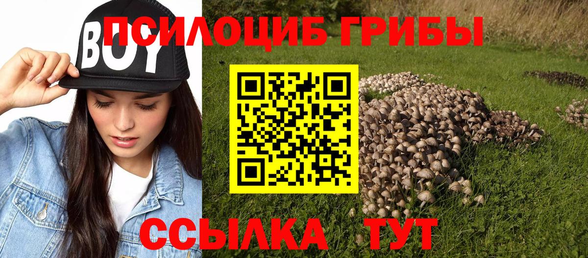 Псилоцибиновые грибы Cubensis  Вход с VPN  Алушта 