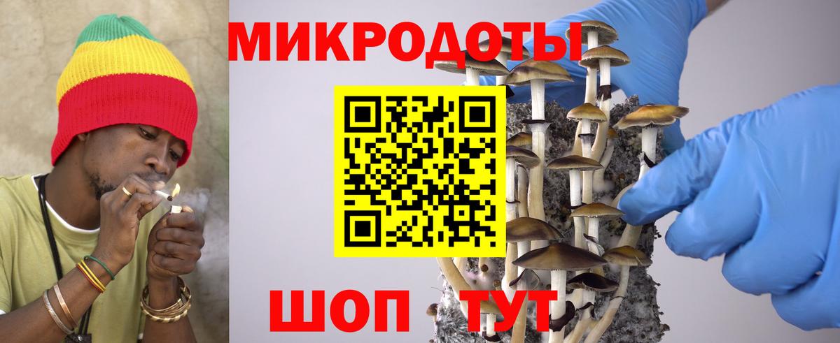 Галлюциногенные грибы GOLDEN TEACHER  Алушта  Галлюциногенные грибы Psilocybe 